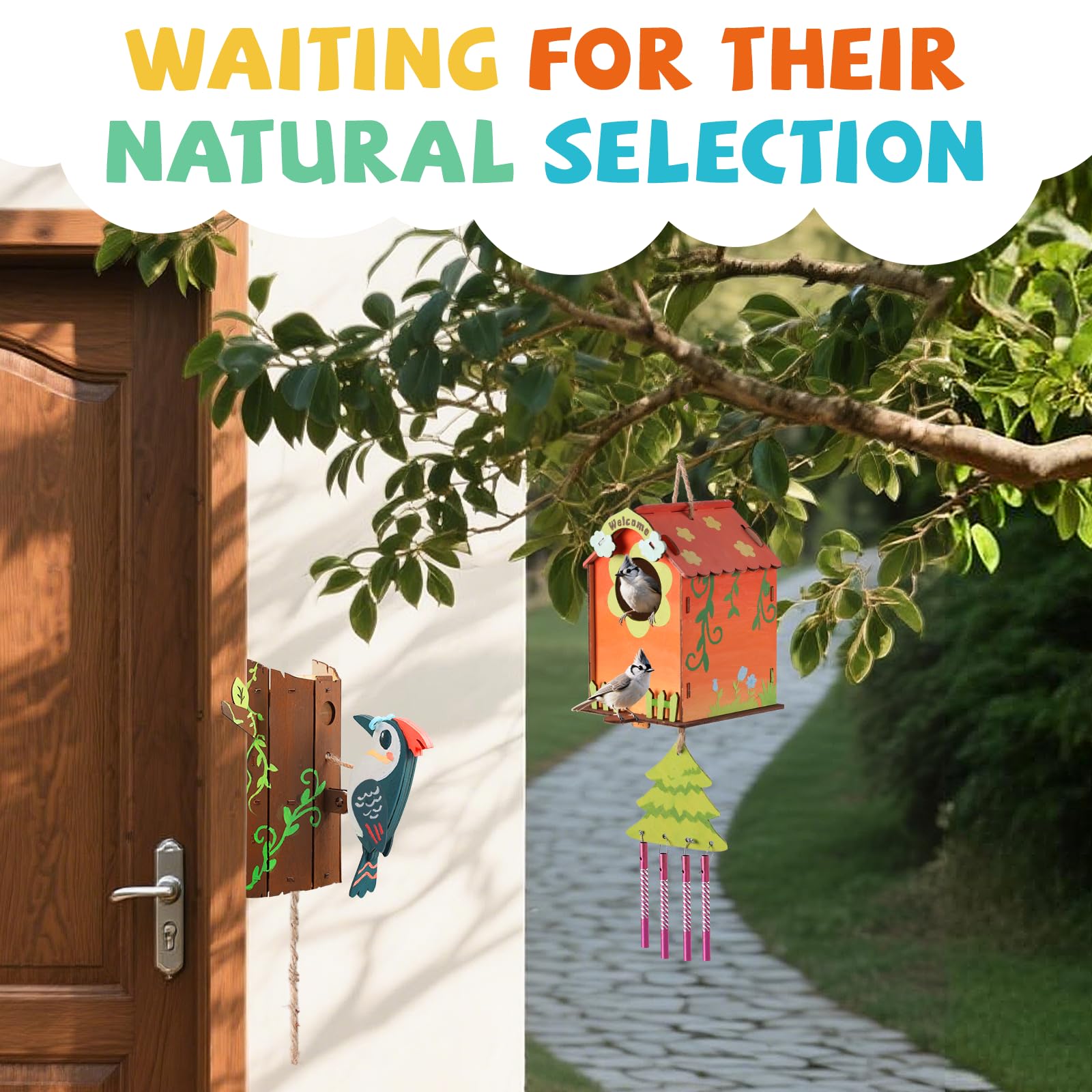 JMMICO Paint Your Own Birdhouses - Wooden Painting Crafts Kit for Kids Ages 8-12, DIY Bird House and Woodpecker Doorbell, All-In-One Set