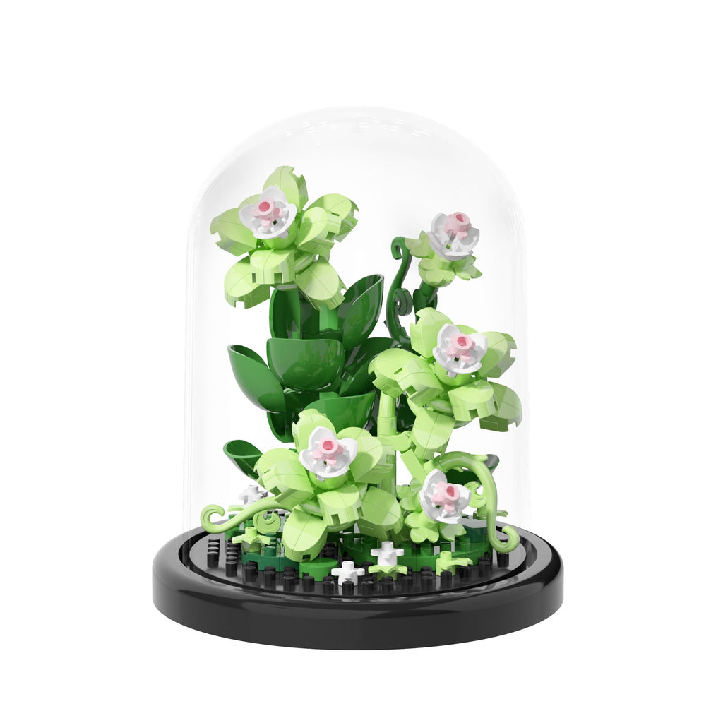 Jollcnoia Bonsai Tree Building Set – Creative Assembly Toy with Dust Cover