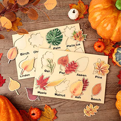 Kathfly 2-Piece Wooden Leaf Jigsaw Puzzle Set - 16 Colorful Leaves Montessori Educational Toy