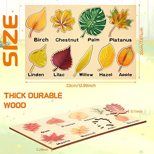 Kathfly 2-Piece Wooden Leaf Jigsaw Puzzle Set - 16 Colorful Leaves Montessori Educational Toy