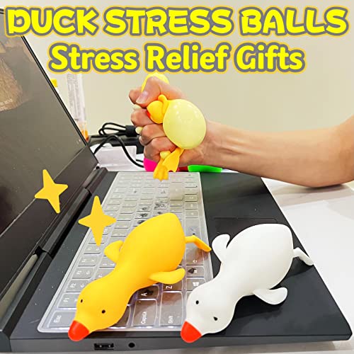 Kawaite Duck Dough Ball Fidget Toy – Squishy Stress Relief Ball for Kids and Adults