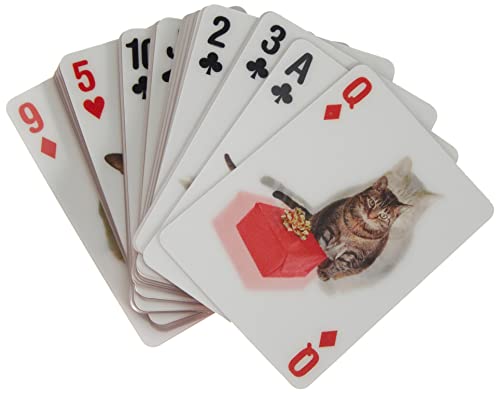 Kikkerland Lenticular Playing Cards – 52 Unique Cat Images & 2 Dog Jokers