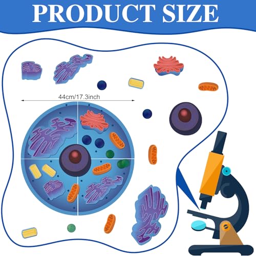 Leitee 18-Piece Magnetic Animal Cell Model Set for Interactive Biology Learning on Whiteboards