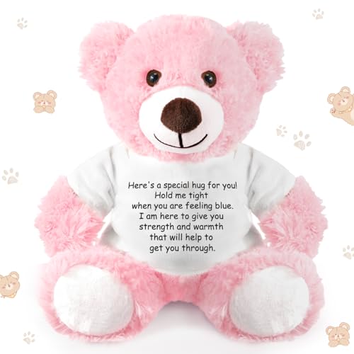 Lenwen Pink Get Well Soon Bear with Comforting Shirt Plush for Sympathy Gift 35 cm