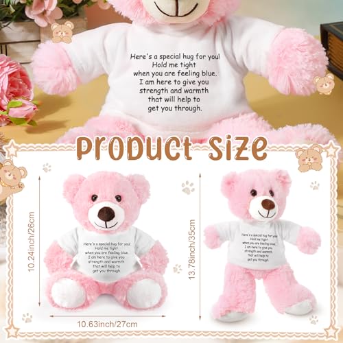 Lenwen Pink Get Well Soon Bear with Comforting Shirt Plush for Sympathy Gift 35 cm
