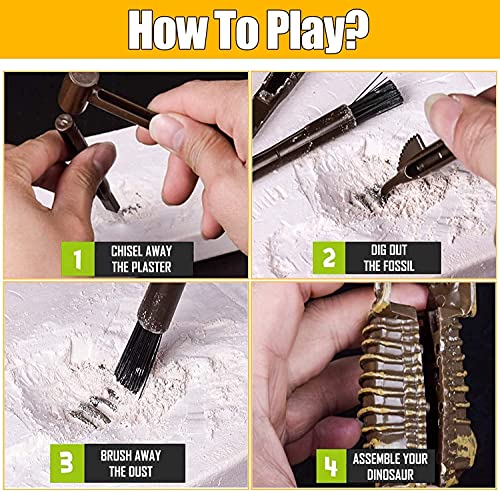 Liberty Imports Stegosaurus Dinosaur Skeleton Dig Kit – Excavate and Build 3D Fossil Bones, Science Educational Toy for Kids Ages 4+