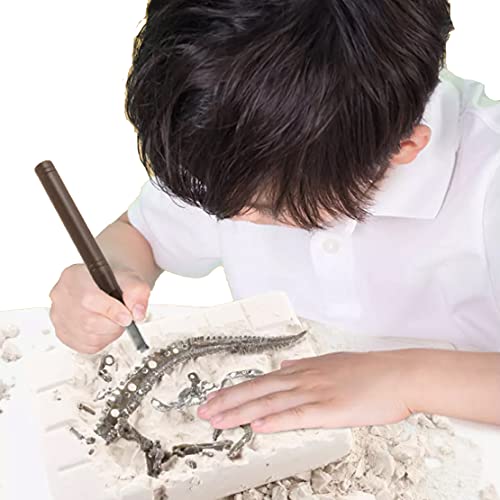 Liberty Imports Stegosaurus Dinosaur Skeleton Dig Kit – Excavate and Build 3D Fossil Bones, Science Educational Toy for Kids Ages 4+