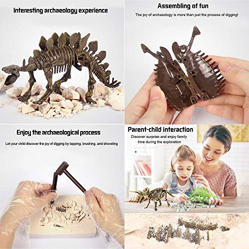 Liberty Imports Stegosaurus Dinosaur Skeleton Dig Kit – Excavate and Build 3D Fossil Bones, Science Educational Toy for Kids Ages 4+