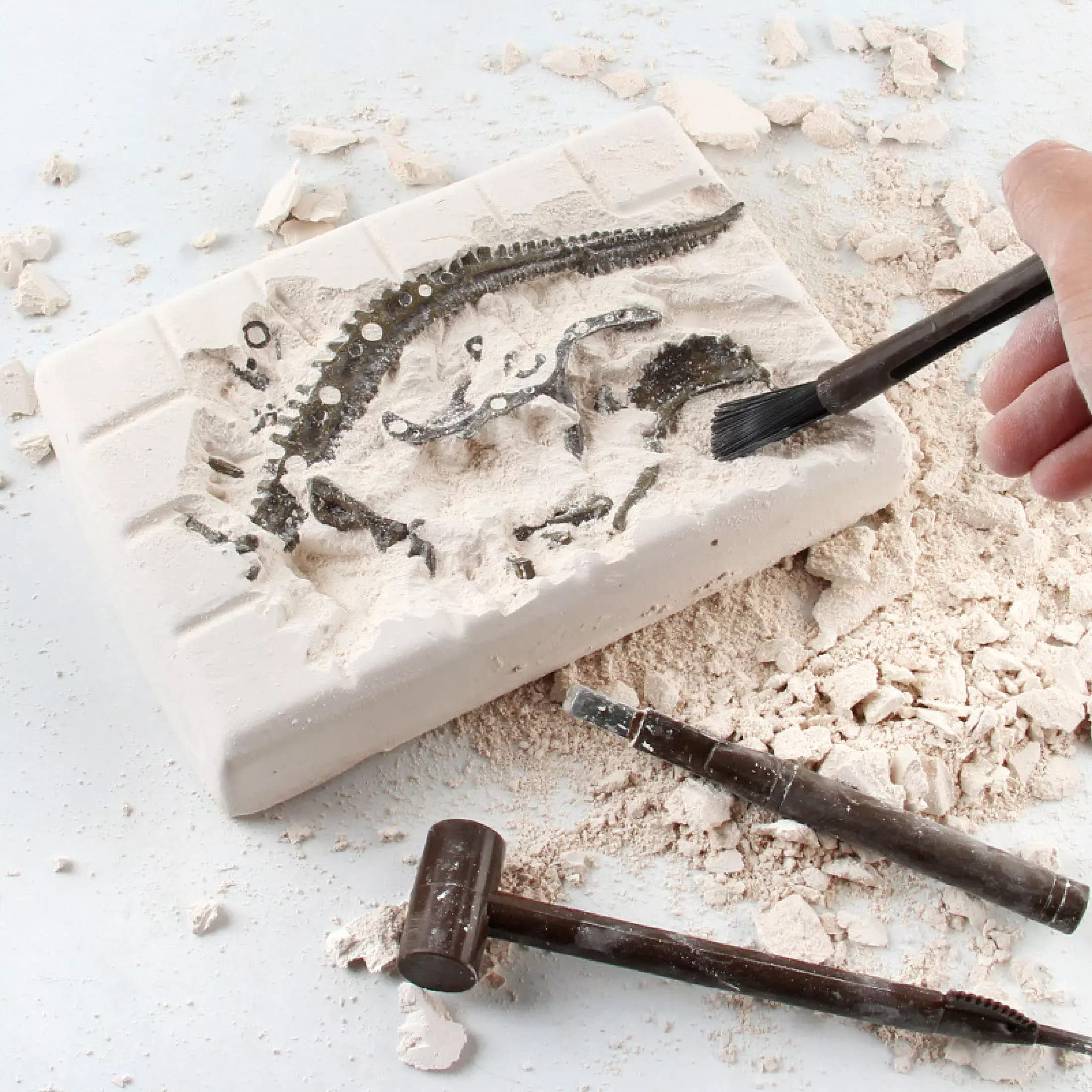Liberty Imports Stegosaurus Dinosaur Skeleton Dig Kit – Excavate and Build 3D Fossil Bones, Science Educational Toy for Kids Ages 4+