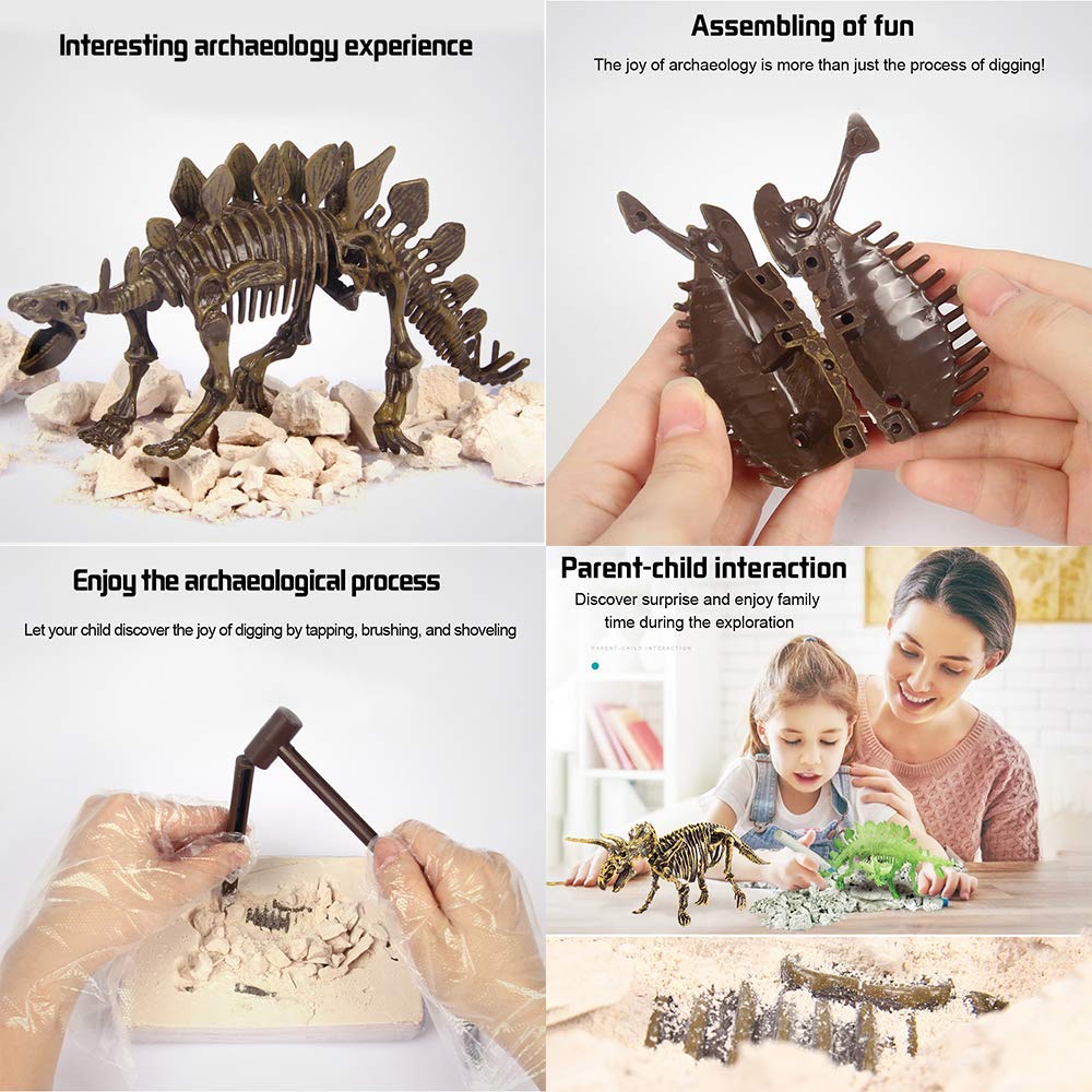 Liberty Imports Stegosaurus Dinosaur Skeleton Dig Kit – Excavate and Build 3D Fossil Bones, Science Educational Toy for Kids Ages 4+