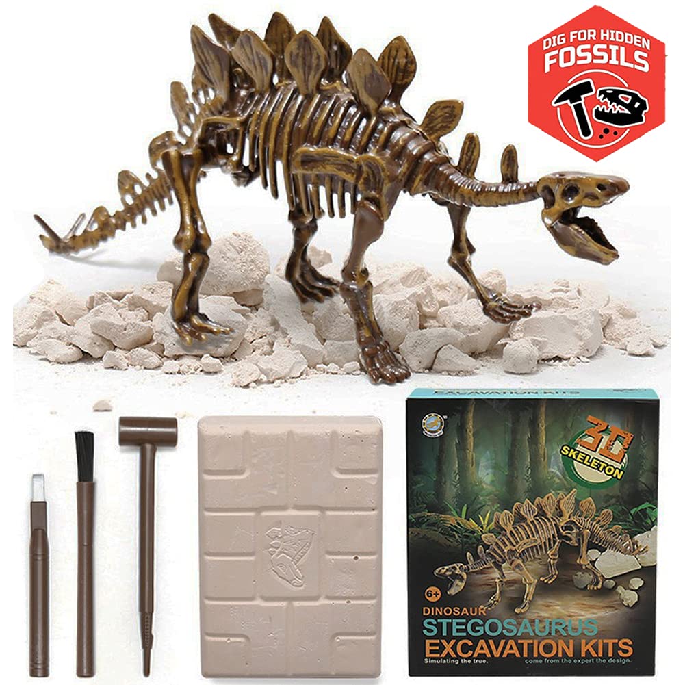 Liberty Imports Stegosaurus Dinosaur Skeleton Dig Kit – Excavate and Build 3D Fossil Bones, Science Educational Toy for Kids Ages 4+
