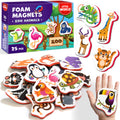 Little World 25-Piece Foam Animal Fridge Magnets for Toddlers 1-3 | Safe, Waterproof, Non-Toxic Zoo Magnets with Gift Box
