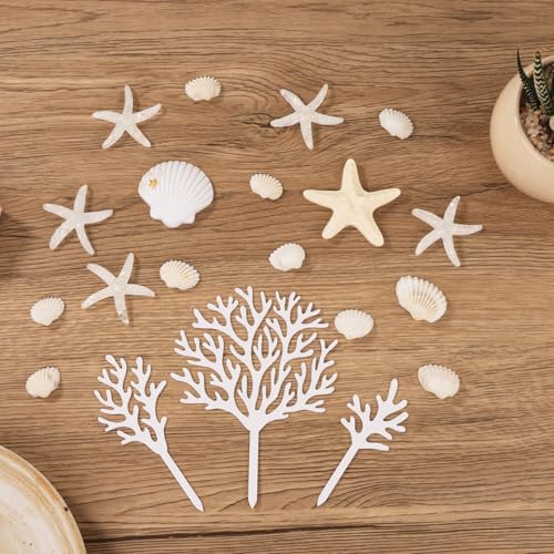 LOIYSHINE 20-Piece Sea Shell Cake Decorations Set - Under the Sea Theme with Starfish, Coral, and Natural Shells for Birthday Parties, Baby Showers, Weddings