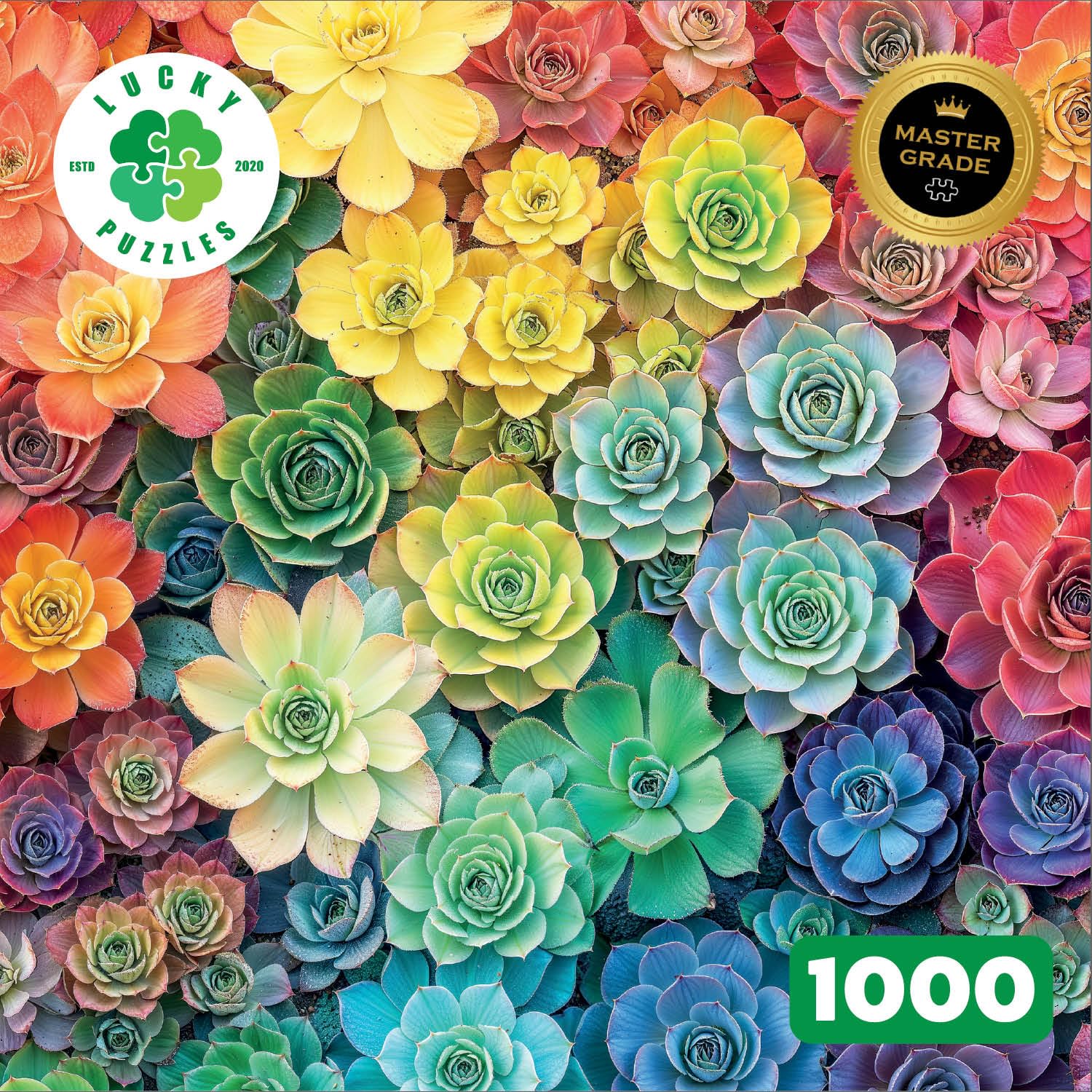Lucky Puzzles Rainbow Roots and Shoots 1000-Piece Jigsaw Puzzle – Colorful Succulent Garden Art