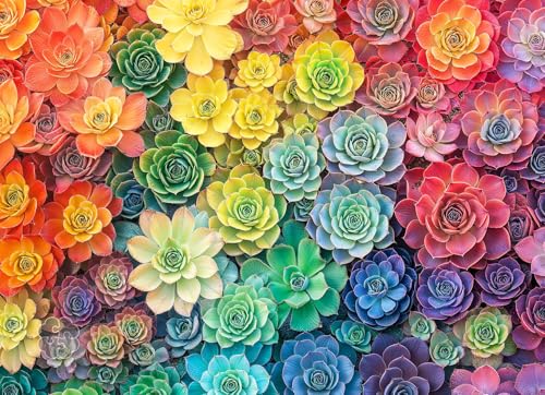Lucky Puzzles Rainbow Roots and Shoots 1000-Piece Jigsaw Puzzle – Colorful Succulent Garden Art
