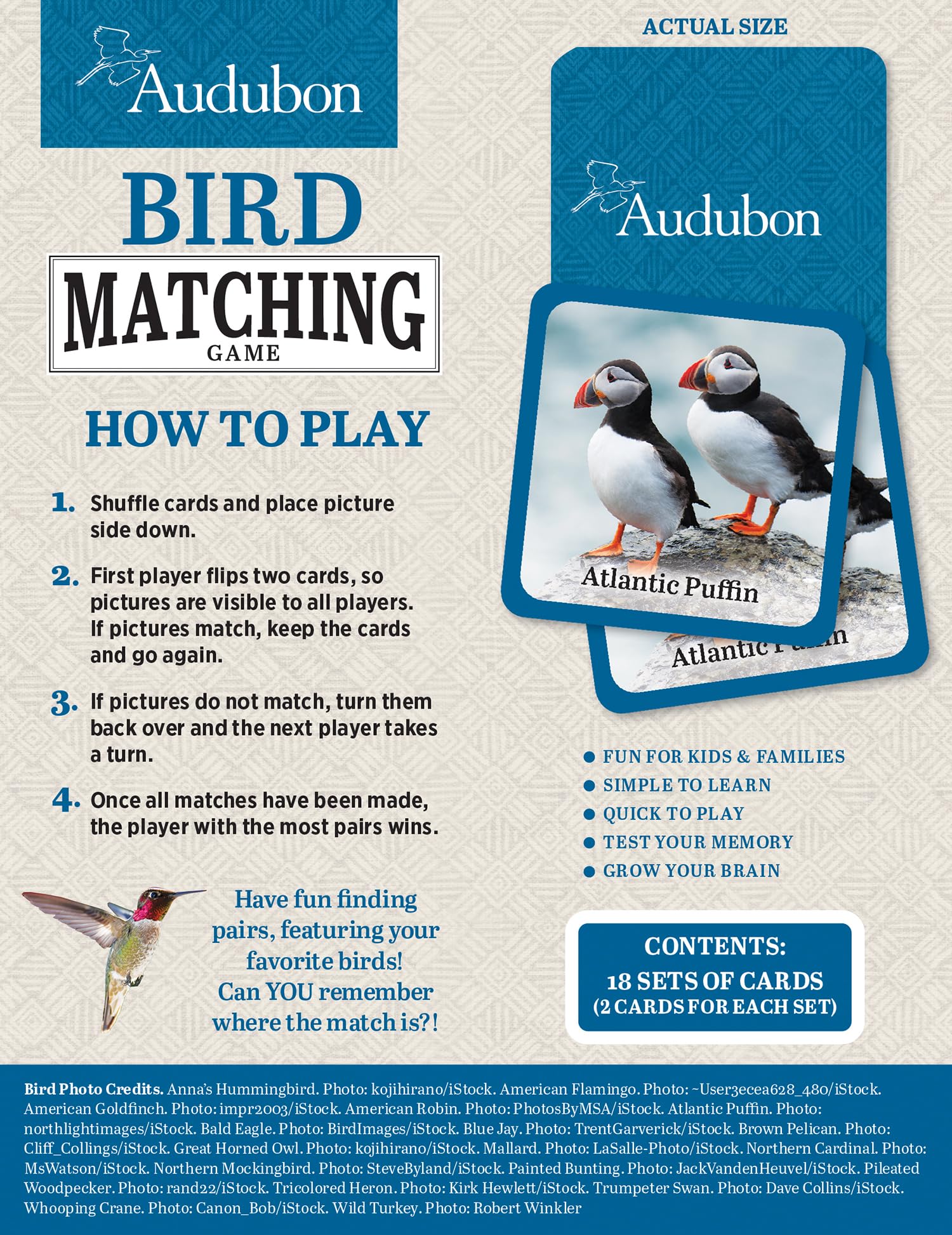 Masterpieces Audubon Picture Matching Card Game – Family Fun for All Ages