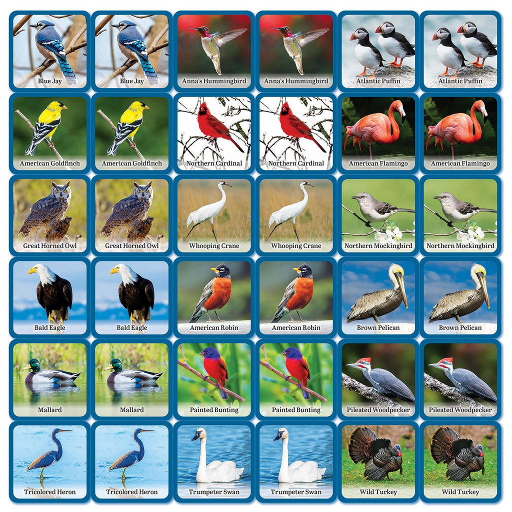 Masterpieces Audubon Picture Matching Card Game – Family Fun for All Ages
