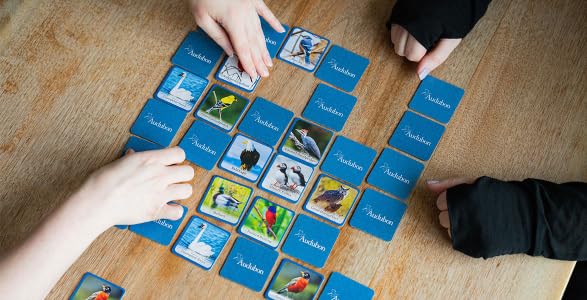 Masterpieces Audubon Picture Matching Card Game – Family Fun for All Ages