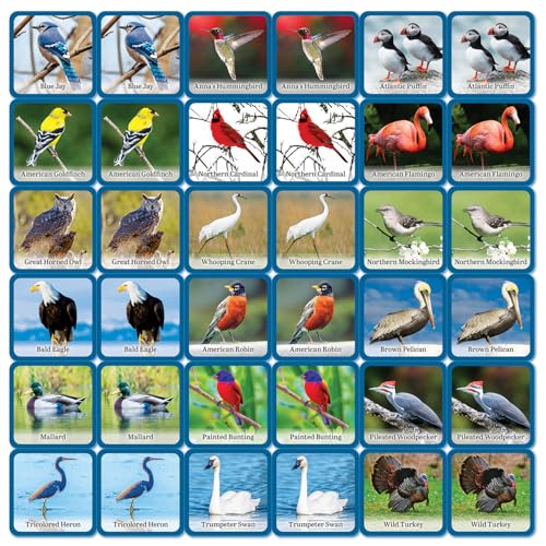 Masterpieces Audubon Picture Matching Card Game – Family Fun for All Ages