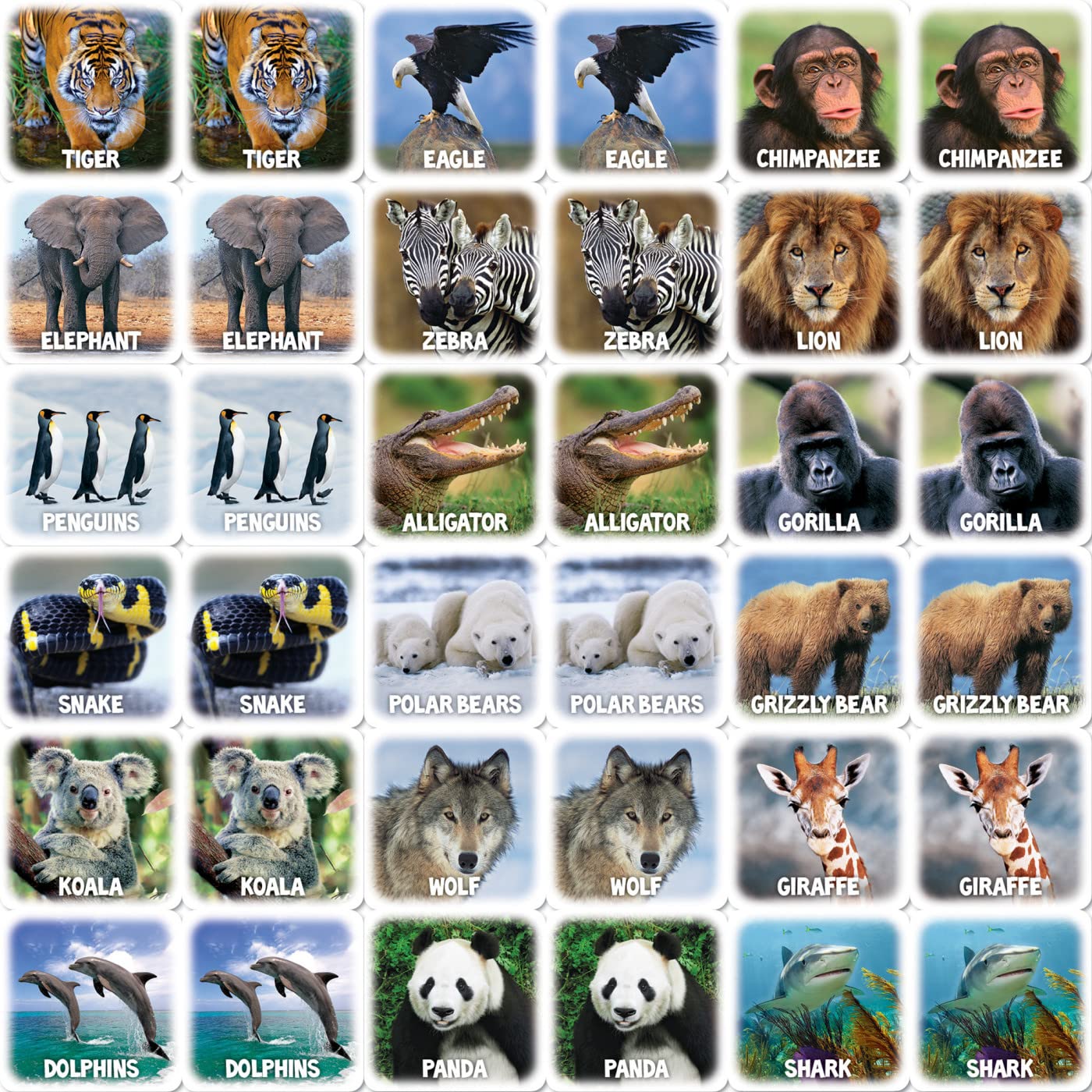 MasterPieces World of Animals Matching Game – 18 Sets of Cards for Ages 3+