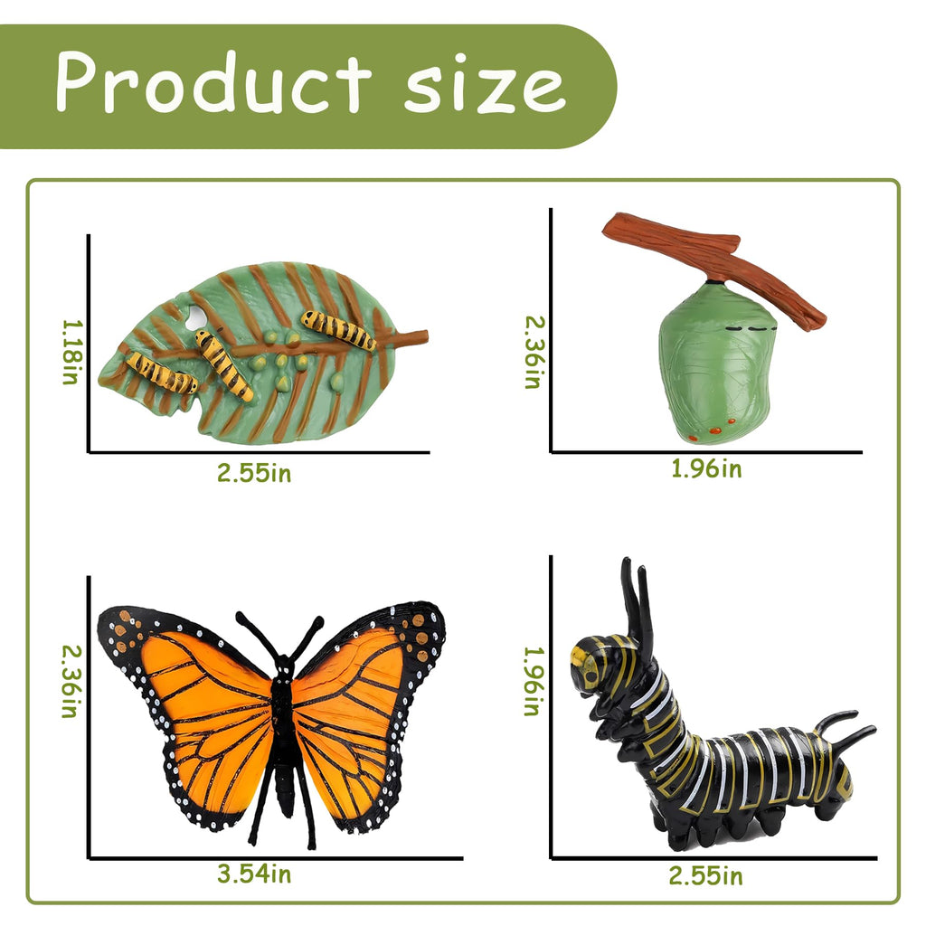 Mbrain Butterfly Life Cycle Toys - 4 Stage Growth Figures with Flash Cards for Kids Ages 3+