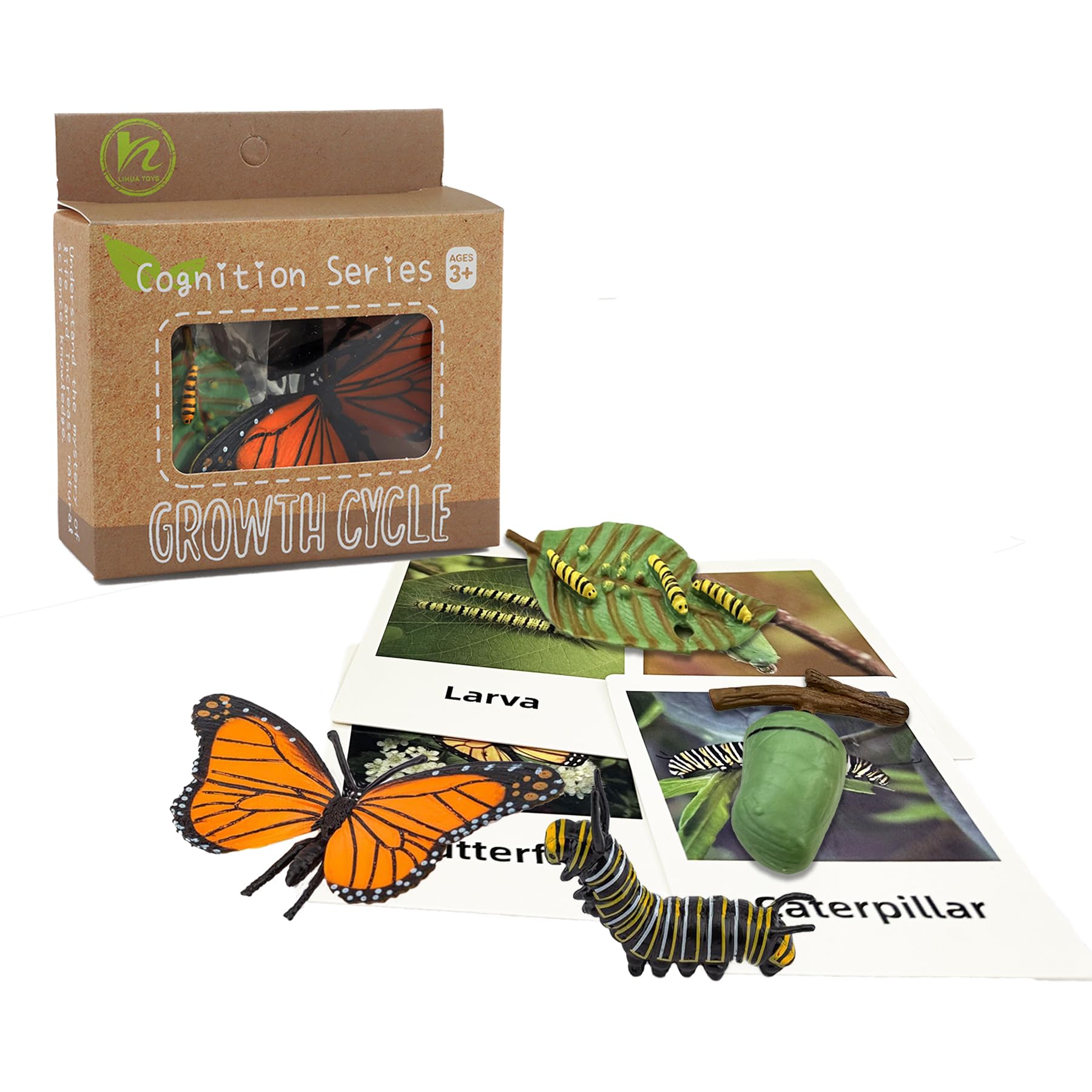 Mbrain Butterfly Life Cycle Toys - 4 Stage Growth Figures with Flash Cards for Kids Ages 3+