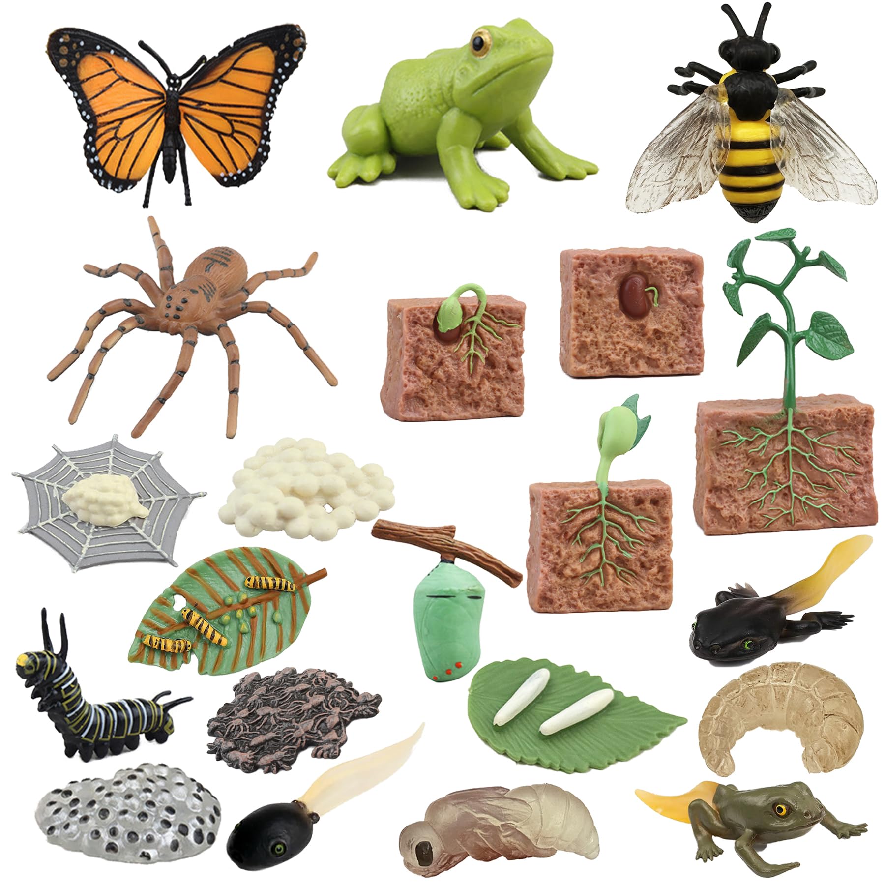 Mbrain Butterfly Life Cycle Toys - 4 Stage Growth Figures with Flash Cards for Kids Ages 3+
