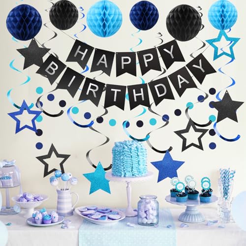 meowtastic Black & Blue Birthday Party Decorations Kit: Banner, Honeycomb Balls, Stars Streamers, Circle Garland