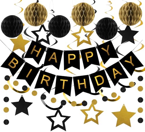 Meowtastic Black & Gold Birthday Decorations Set - 16 Piece Party Kit with Banner, Honeycomb Balls, Streamers & Garland