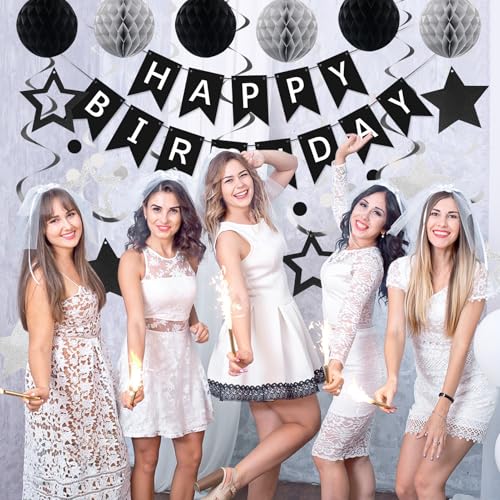 meowtastic Black & Silver Birthday Party Decoration Set – 16-Piece Includes Banner, Honeycomb Balls, Star Streamers, Circle Dot Garland