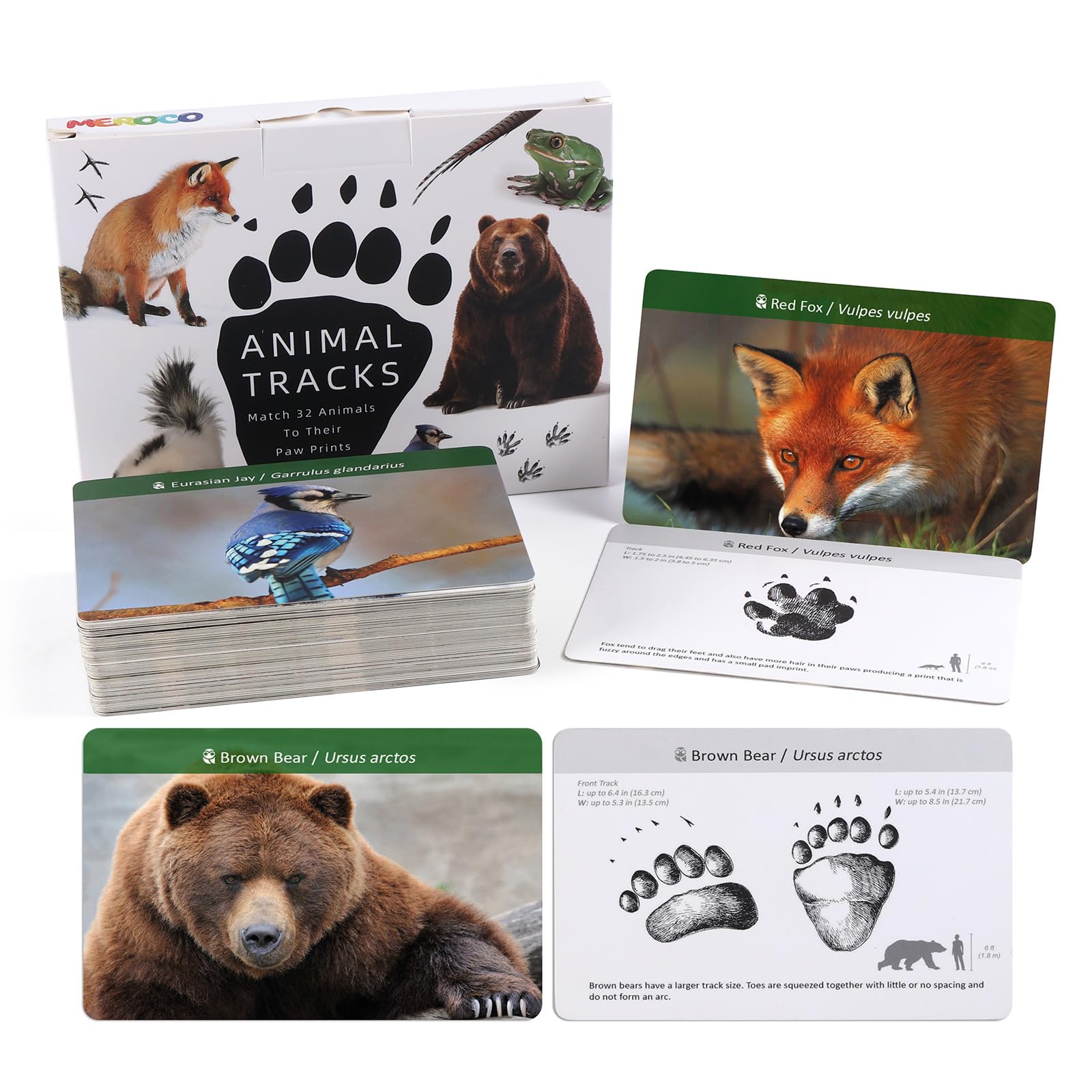 MEROCO Forest Animals Tracks Cards - 64-Piece Matching Game for Kids, Animal Track Identification Flash Cards, Homeschool Learning Toys