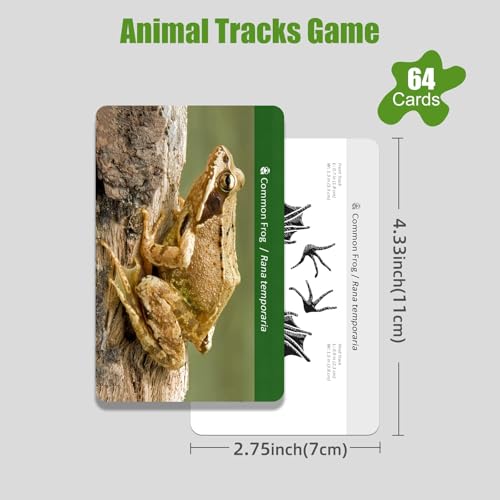 MEROCO Forest Animals Tracks Cards - 64-Piece Matching Game for Kids, Animal Track Identification Flash Cards, Homeschool Learning Toys