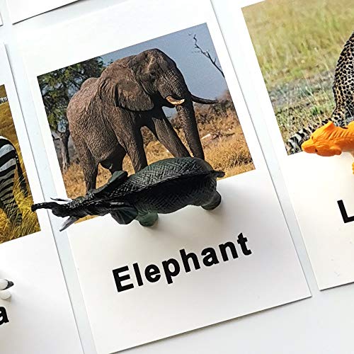 MEROCO Montessori Animal Match – Forest Animal Figurines with Matching Cards for Toddlers and Preschoolers