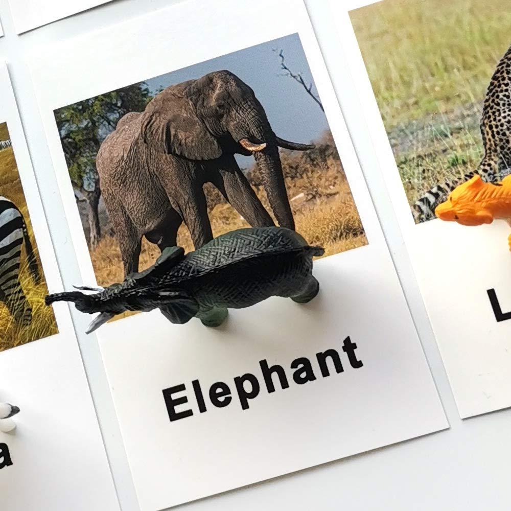 MEROCO Montessori Animal Match – Forest Animal Figurines with Matching Cards for Toddlers and Preschoolers