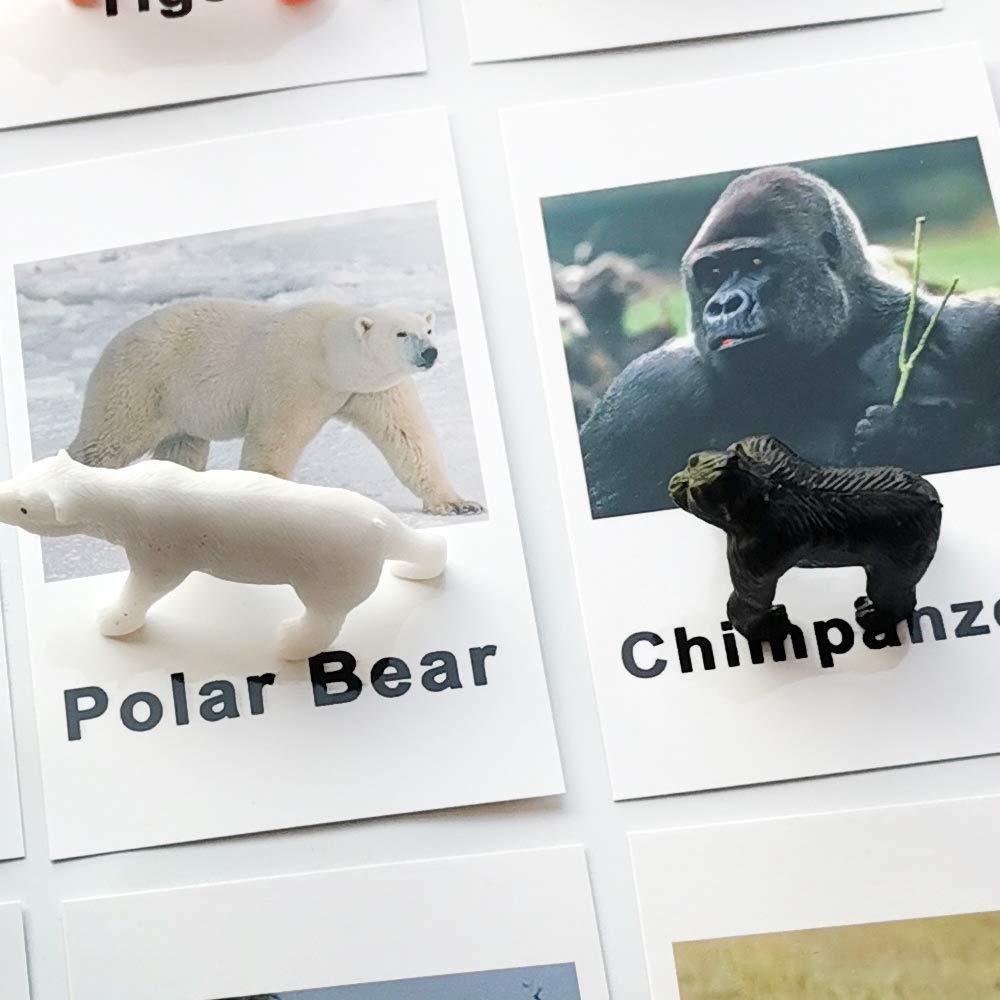 MEROCO Montessori Animal Match – Forest Animal Figurines with Matching Cards for Toddlers and Preschoolers