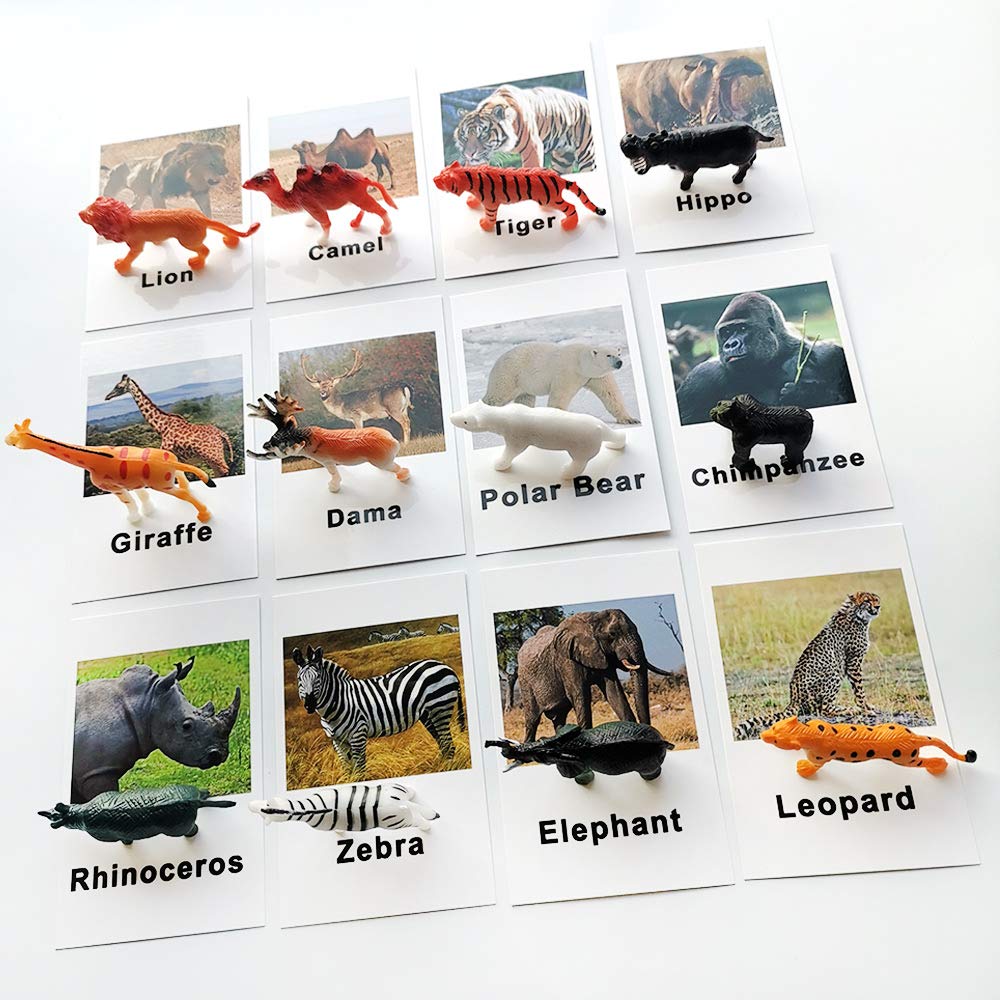 MEROCO Montessori Animal Match – Forest Animal Figurines with Matching Cards for Toddlers and Preschoolers