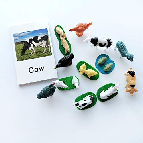 MEROCO Montessori Animal Matching Set - 12 Farm Animal Figurines with Matching Cards for Preschool Language Learning