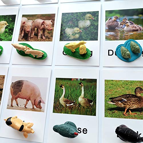 MEROCO Montessori Animal Matching Set - 12 Farm Animal Figurines with Matching Cards for Preschool Language Learning