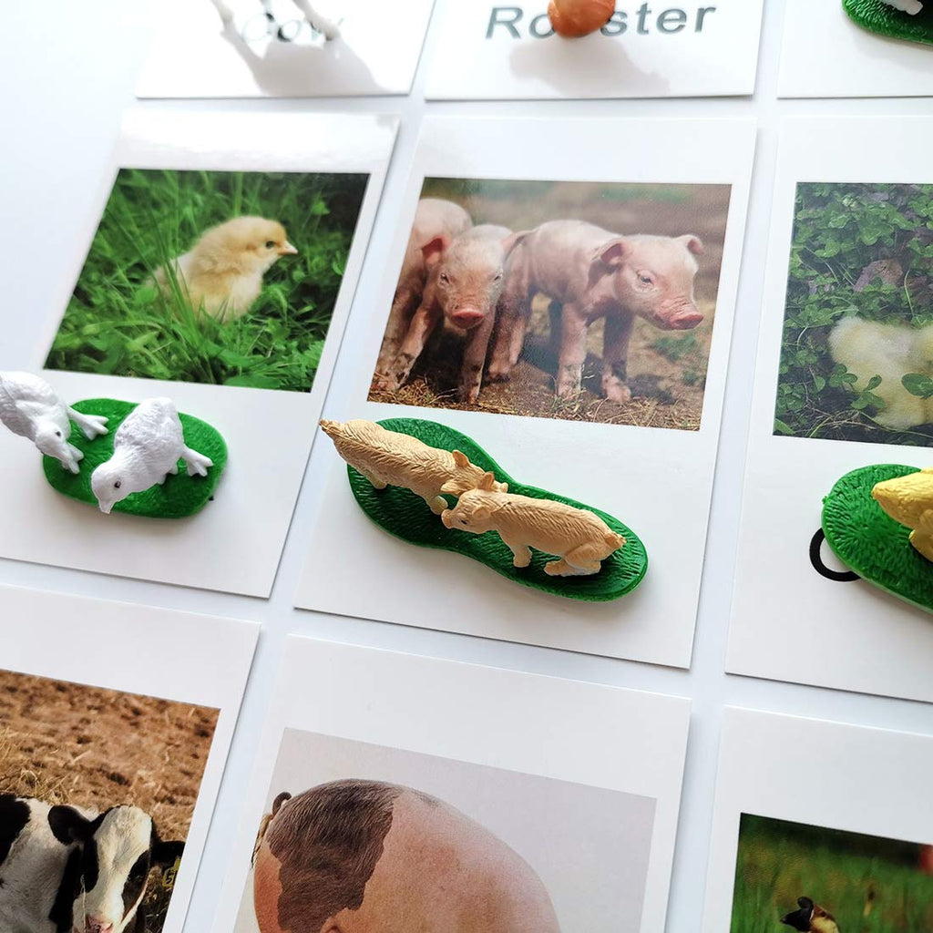 MEROCO Montessori Animal Matching Set - 12 Farm Animal Figurines with Matching Cards for Preschool Language Learning