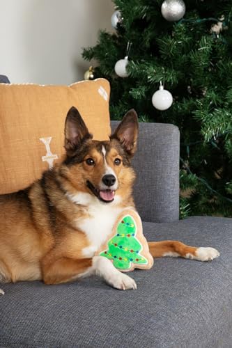 Midlee Christmas Sugar Cookie Plush Dog Toy – Small Festive Squeaky Toy for Dogs