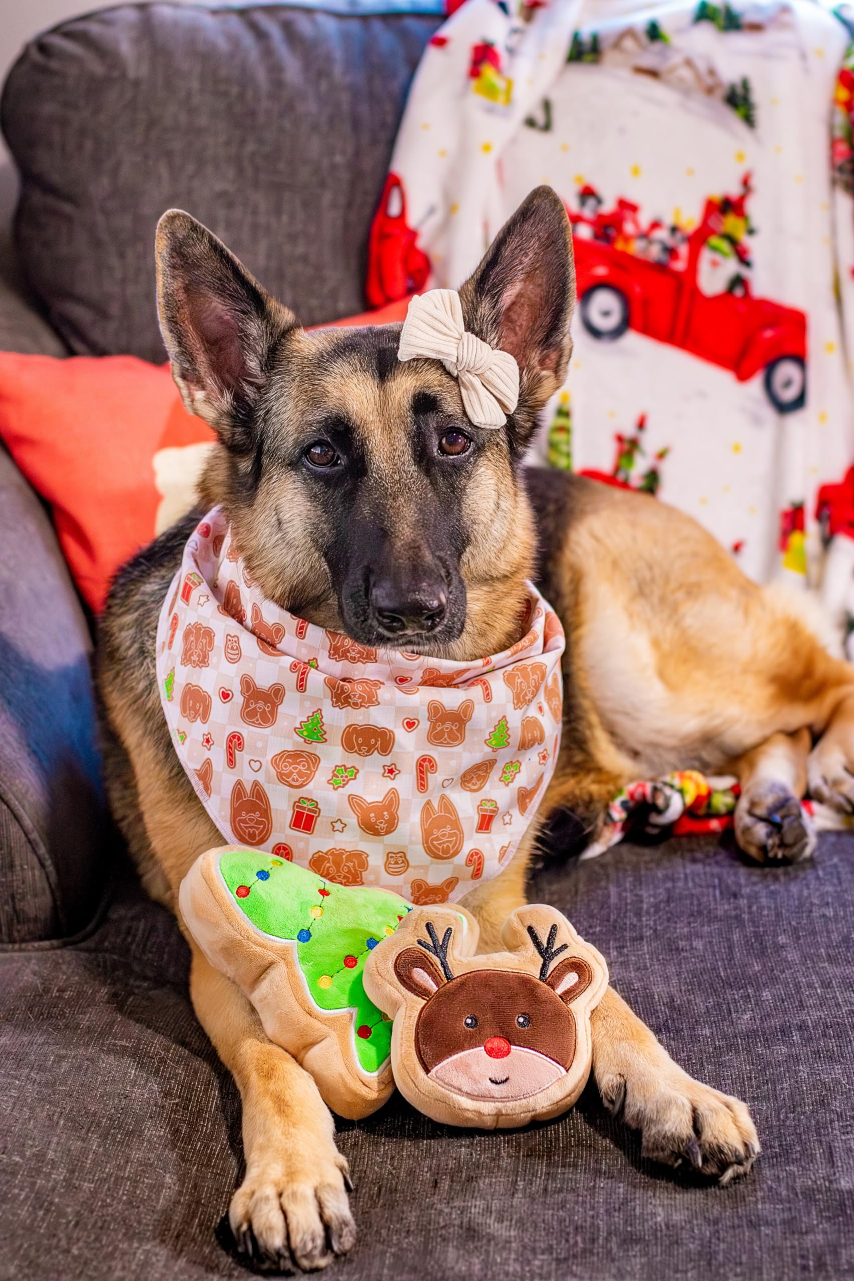 Midlee Christmas Sugar Cookie Plush Dog Toy – Small Festive Squeaky Toy for Dogs