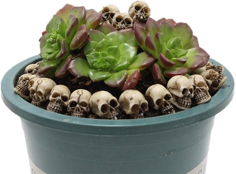 Mikily's 32-Pack Mini Skull Figurines – Resin Skeleton Head Cake Toppers for Halloween Party Supplies