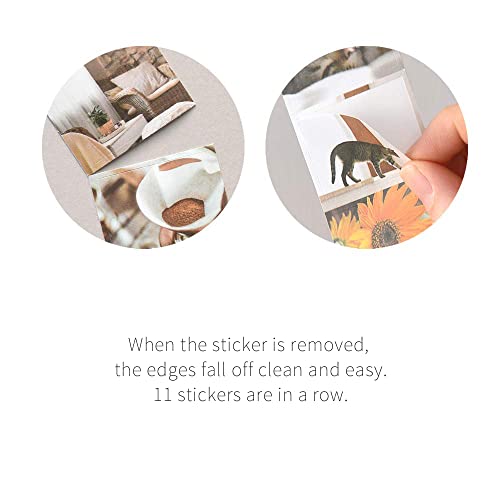 Monolike Wow Sticker Serenity + Mellow Set – 6 Mini Cute Square Stickers (2 Designs) for Scrapbooking, Waterproof