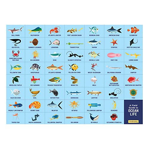 Mudpuppy Ocean Life Search & Find Puzzle – 64 Piece Jigsaw with Over 40 Hidden Sea Creatures