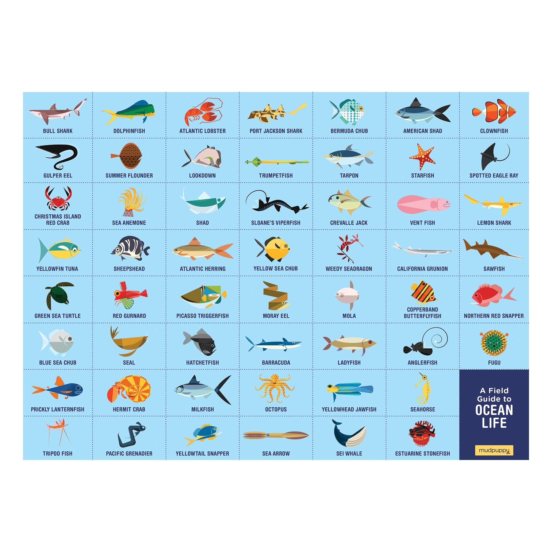 Mudpuppy Ocean Life Search & Find Puzzle – 64 Piece Jigsaw with Over 40 Hidden Sea Creatures