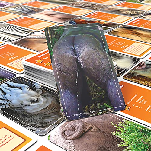Name That Butthole Card Game – 55 Animal Trivia Flashcards for Parties and Family Game Night