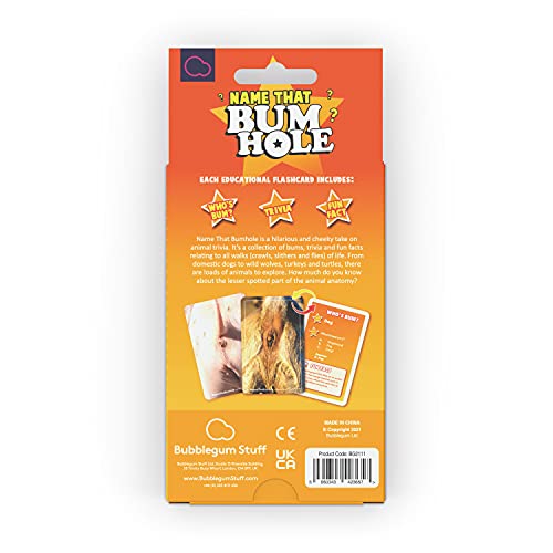Name That Butthole Card Game – 55 Animal Trivia Flashcards for Parties and Family Game Night