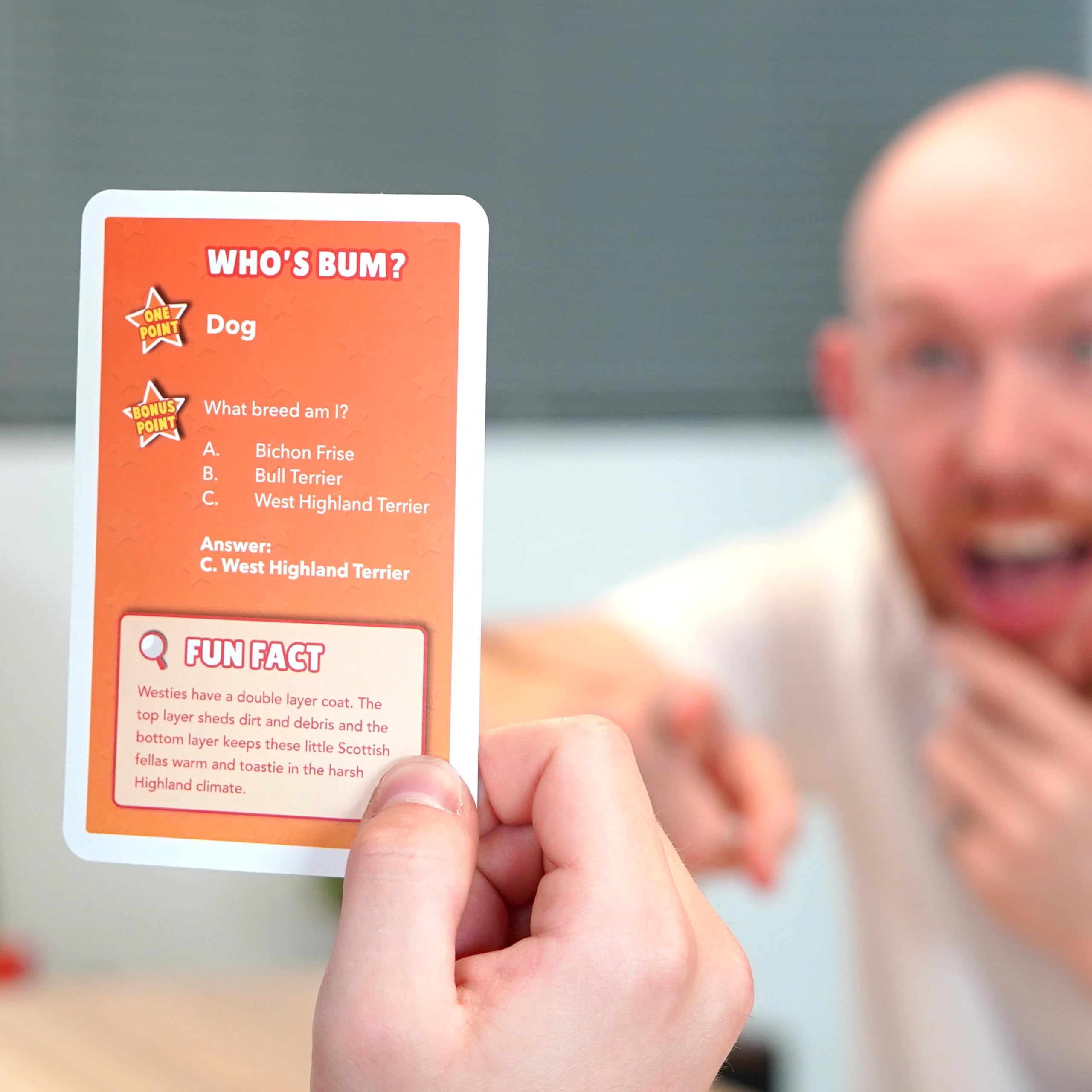 Name That Butthole Card Game – 55 Animal Trivia Flashcards for Parties and Family Game Night