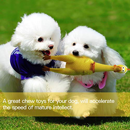 Novelty Place Large 16-Inch Squawking Chicken Dog Toy – Yellow Vinyl Squeaky Toy for Pets and Pranks