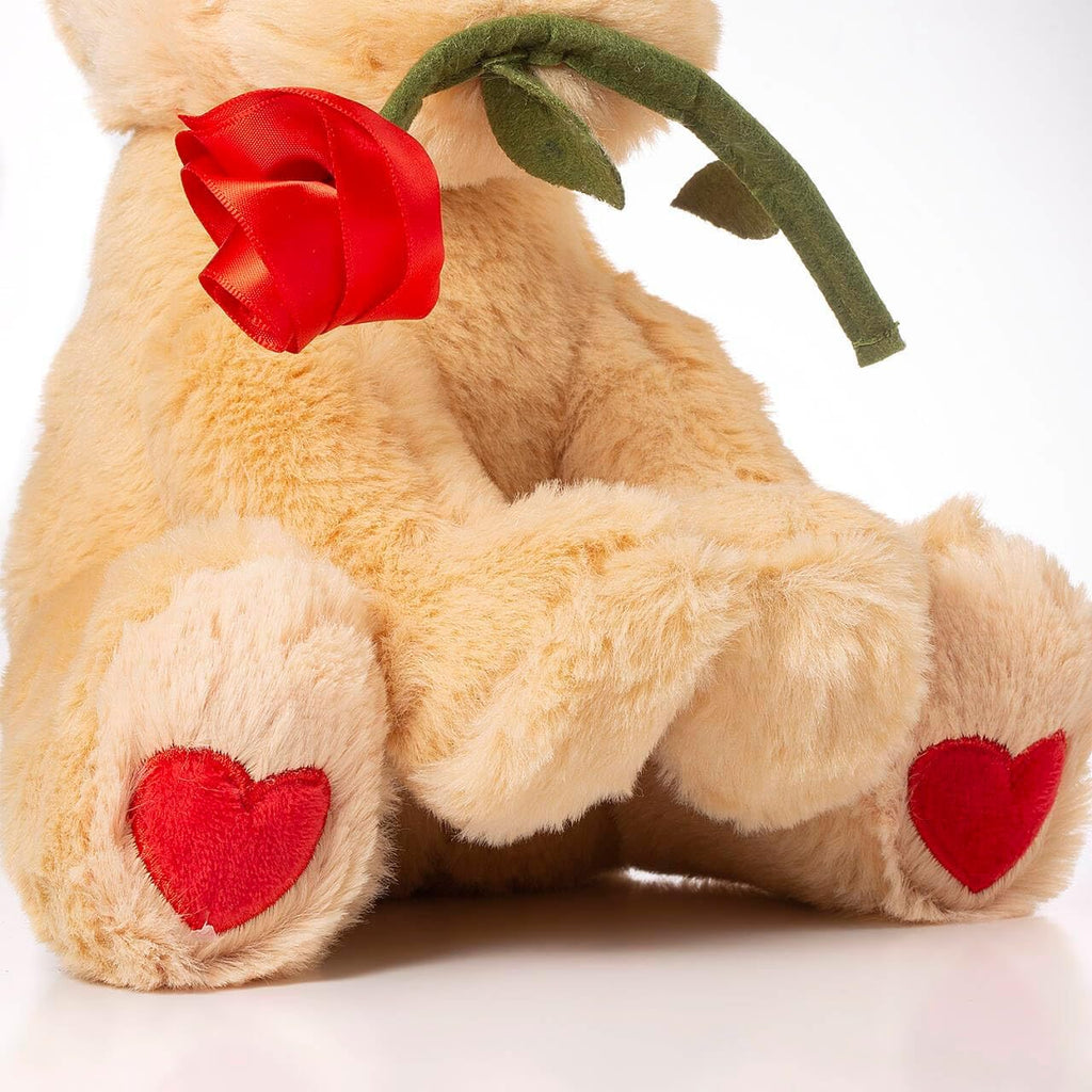 Oukiwi 10 Inch Valentine's Plush Bear Holding Heart with Rose - Soft Stuffed Animal Gift for Loved Ones